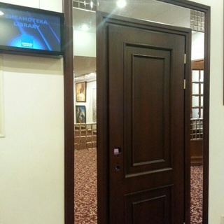 Дверь филенчатая с панелями из зеркала